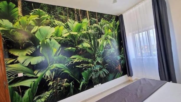 A room with a bed, a window with curtains, and a wall mural of a jungle scene. - Jungle Sensation (Lomé)
