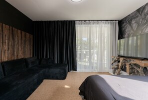 Télévision, cheminée, livres