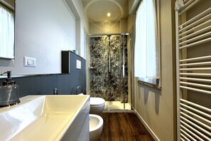 Shower, hair dryer, bidet, towels