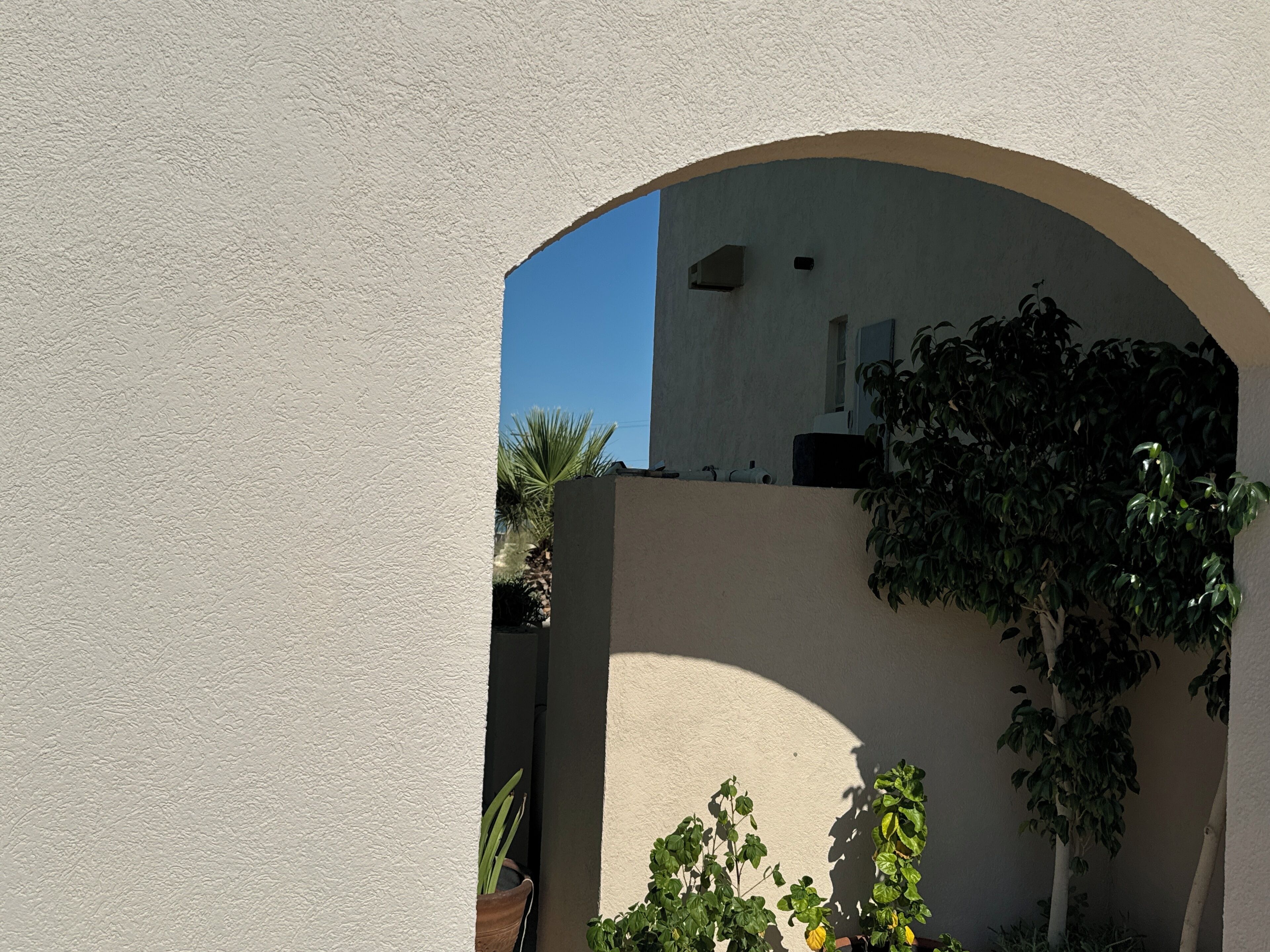 Un arco d'ingresso conduce a un balcone con vista su un edificio e una palma.