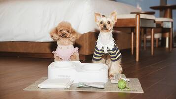 Two dogs in a hotel room with a bed, a dining table, and a popocola food dispenser.