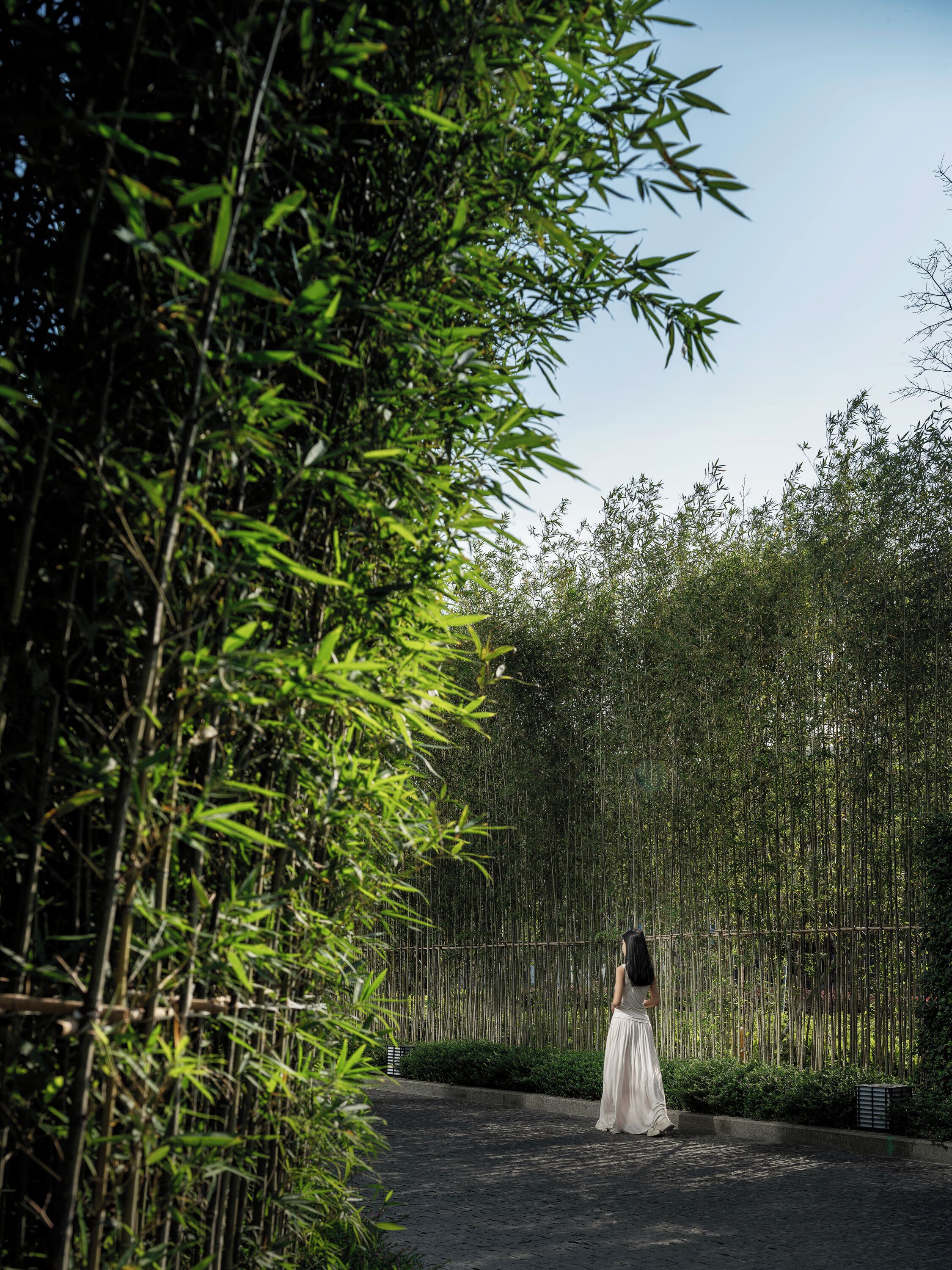 A woman in a white dress walking on a cobblestone path surrounded by bamboo plants.
