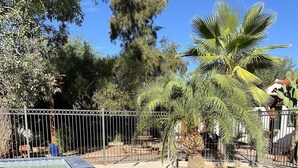 Pool - Casita Sam Hughes/University King bed (Tucson)