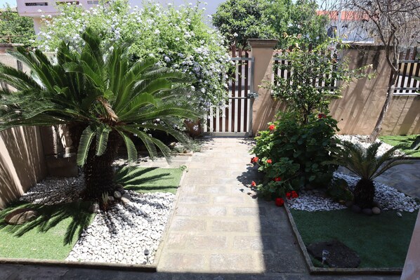 Un chemin de jardin bordé d’un palmier, de fleurs blanches et d’une porte.