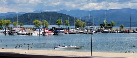 Marina/club náutico