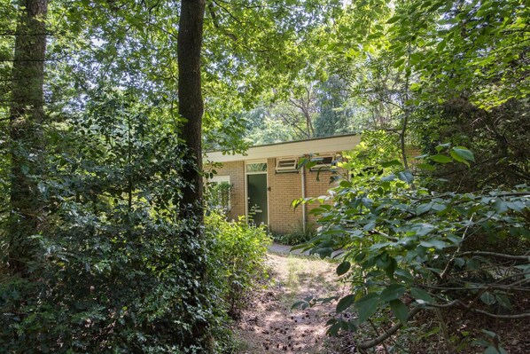 Un edificio rústico rodeado de bosque denso, con fachada de ladrillo y una puerta verde.