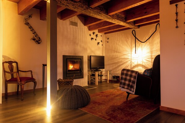 TV, fireplace, DVD player, books