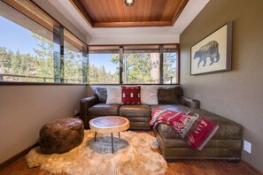 TV, caminetto, studio, monitor per computer