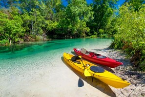 Beach - “Charming RV Getaway – Close to everything! (Spring Hill)