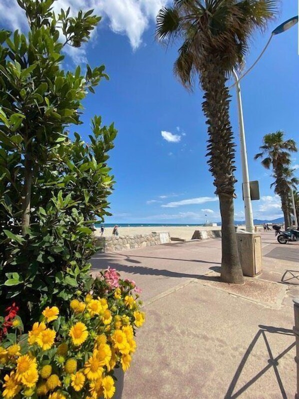 Plage à proximité