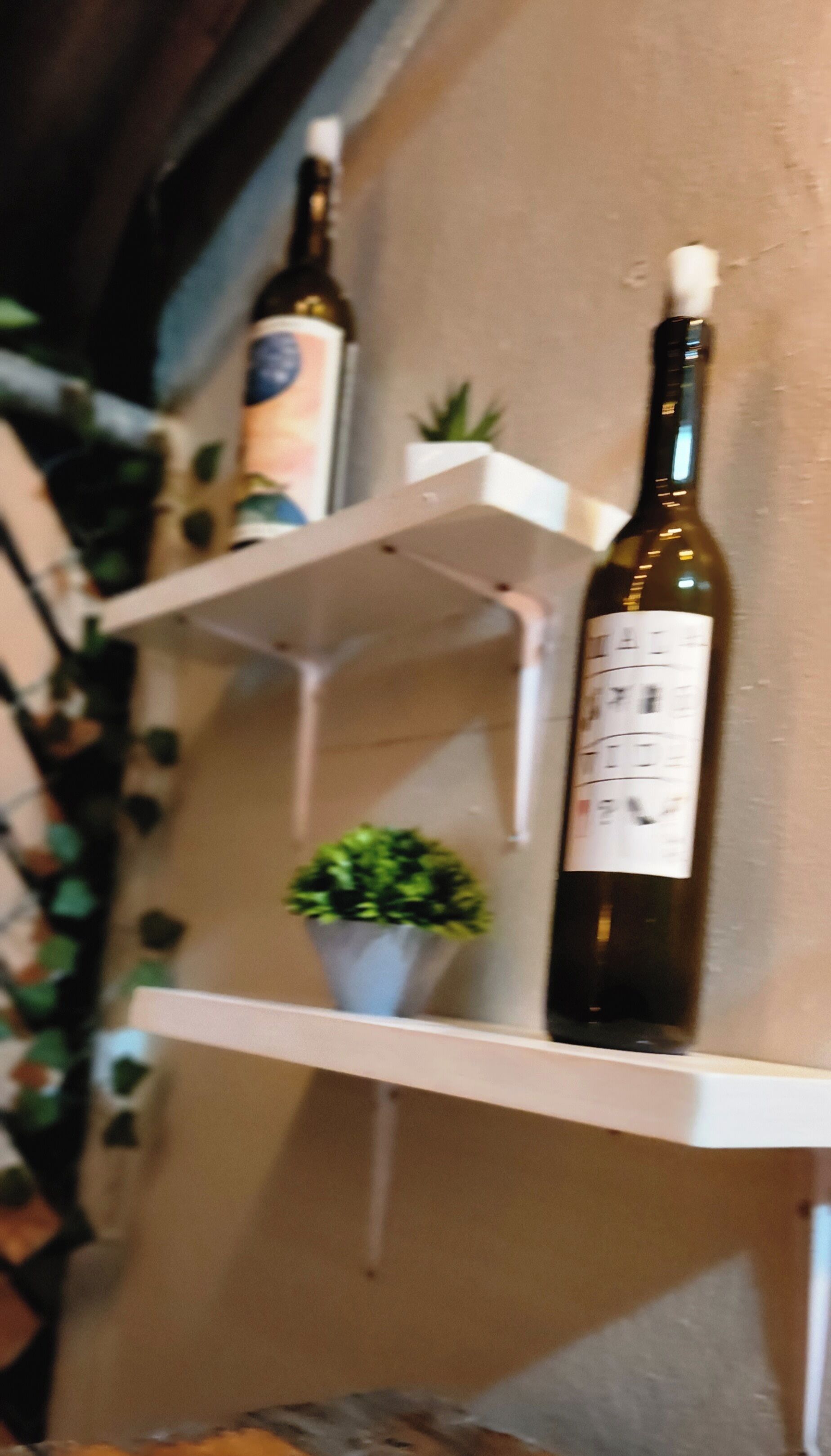 Een plank met twee wijnflessen en een kleine plant in een pot.