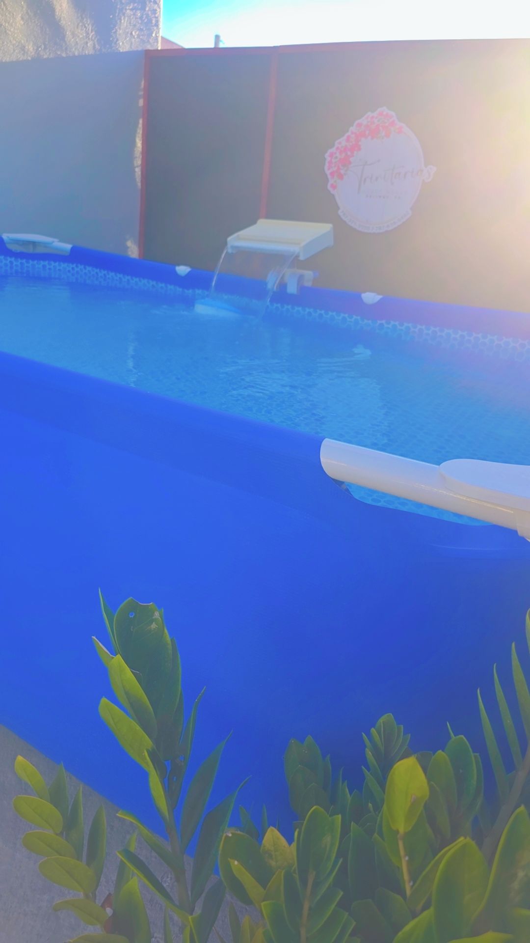 Ein Pool mit Wasserspiel, umgeben von einer niedrigen Mauer und Grünpflanzen.