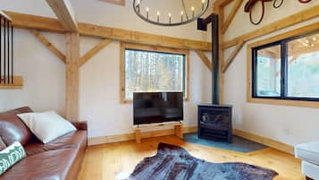 Televisión y chimenea