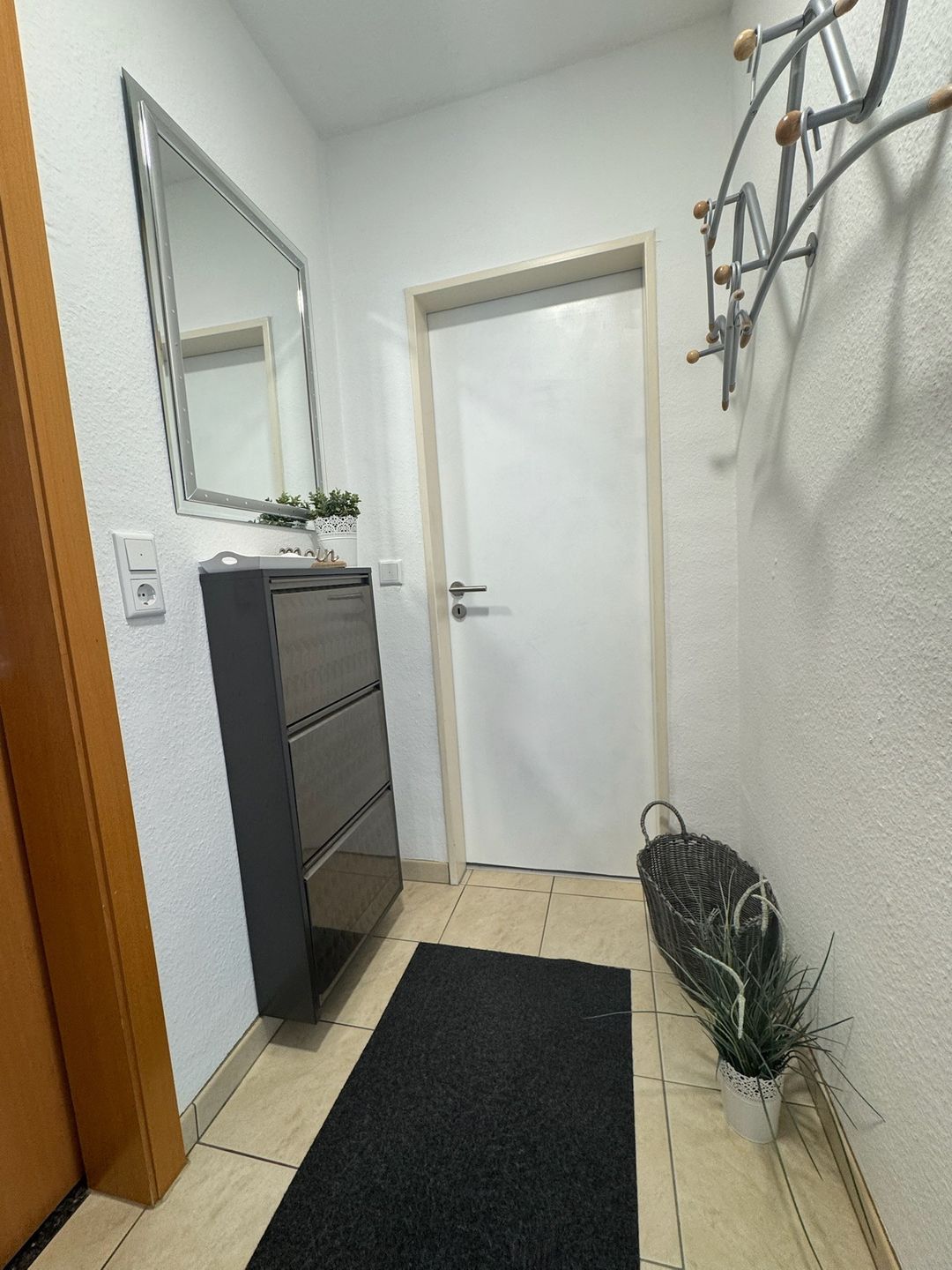 A hallway with a door, a mirror, a small cabinet, a black rug, and a potted plant.