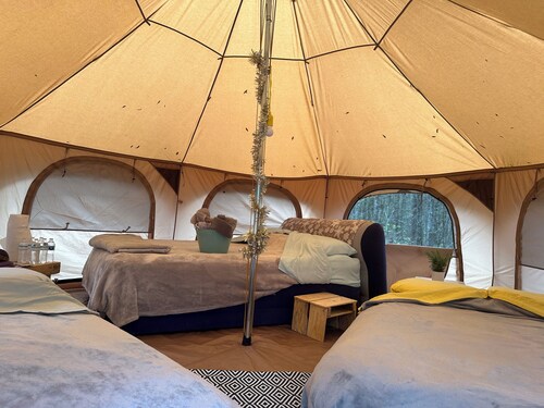 Mr. Waffles tent glamping Farmstay