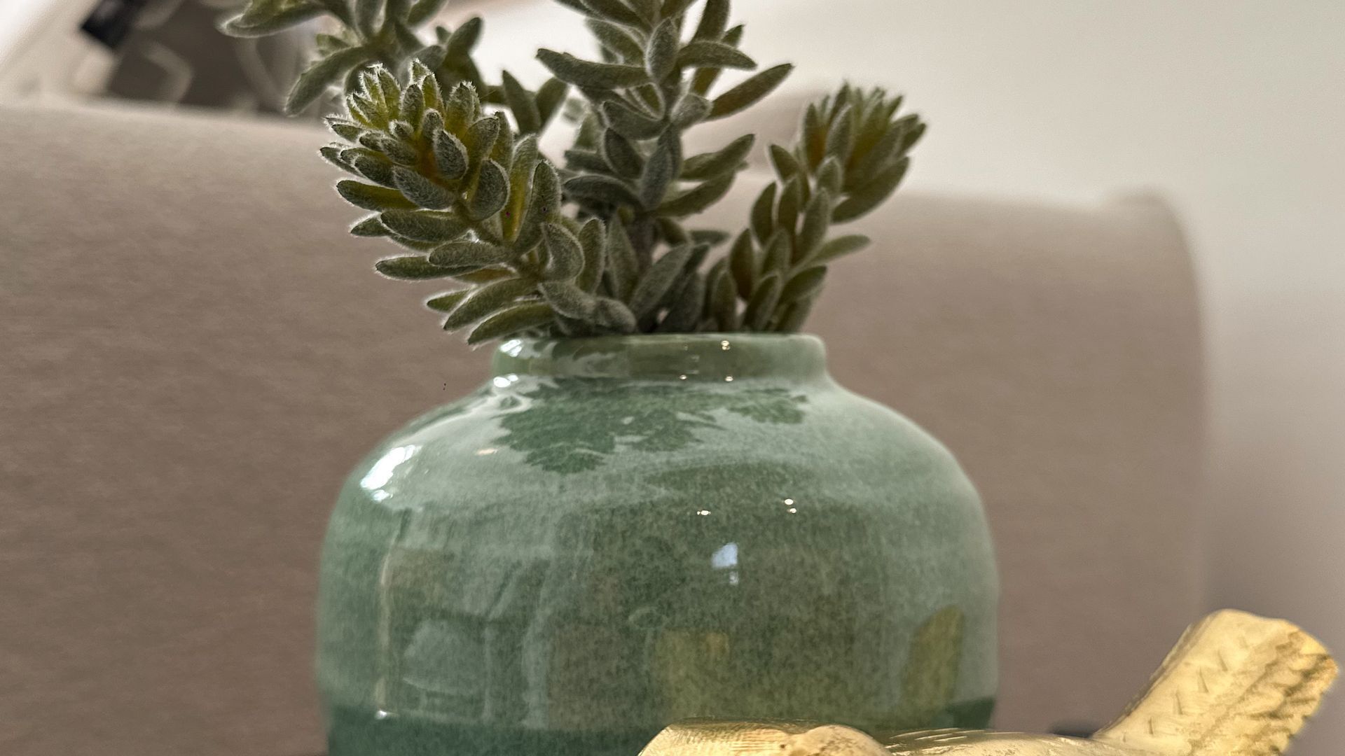 Un vaso di ceramica verde con una pianta su un divano color beige.