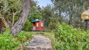 Un chalet rustique, accessible par un sentier de pierres, entouré d’une végétation luxuriante et d’arbres.