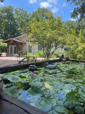 A pond with water lilies and ducks, surrounded by trees and a building with a red roof.