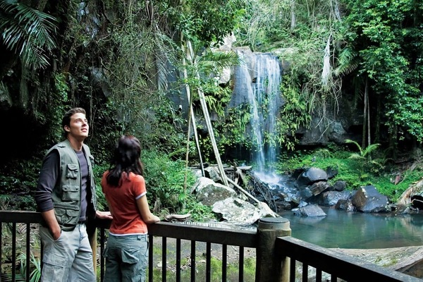 Take a hike at Curtis Falls, Tamborine National Park