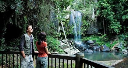 Serene Mountain Cabin Retreat Tamborine Mountain