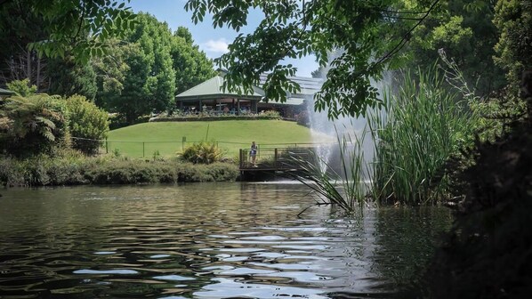 Jardines del alojamiento