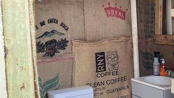 Shower, towels, toilet paper