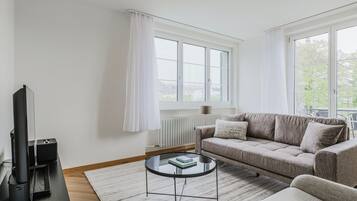 Fernseher, Stereoanlage