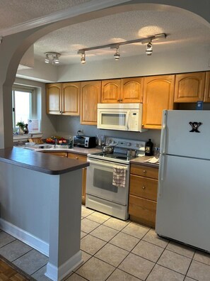 Private kitchen - Atlanta Sky View's Stylish Downtown Condo.  (Atlanta)