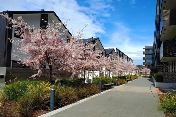 Enceinte de l’hébergement