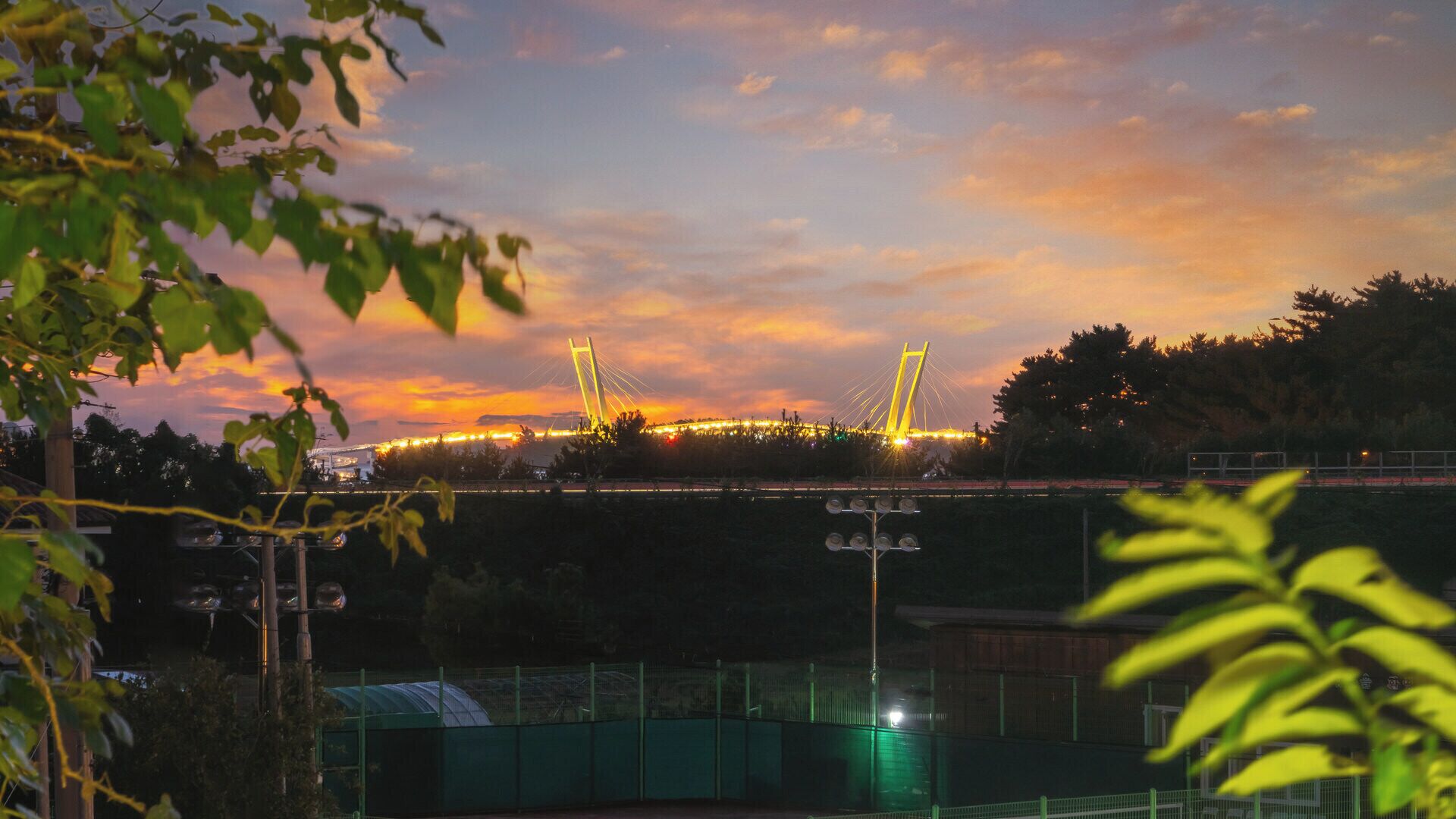 A bridge with illuminated cables against a sunset sky.