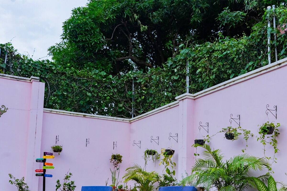 A pink-walled outdoor seating area with blue chairs and potted plants.