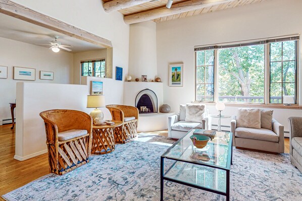 Televisión, chimenea, libros