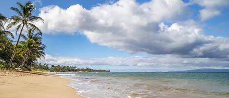 Plage à proximité