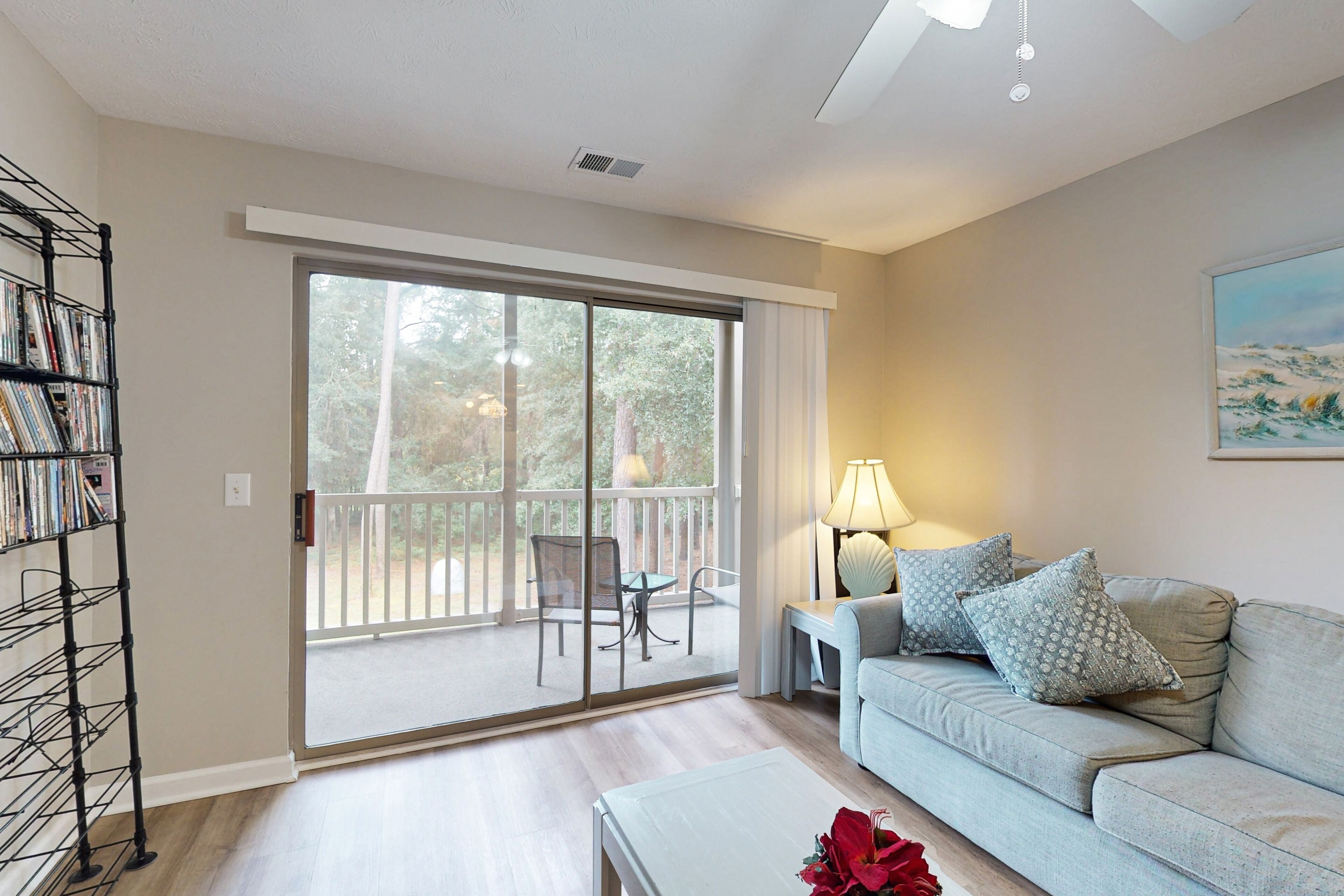 TV, DVD player, video library