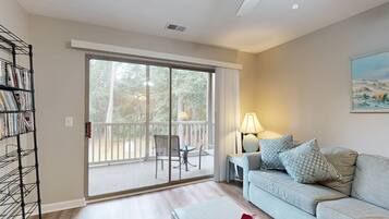 TV, DVD player, video library