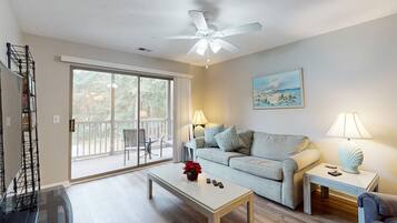 TV, DVD player, video library