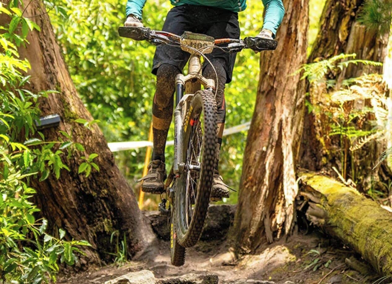 Un vététiste qui emprunte un sentier rocailleux, entouré d’une forêt dense.