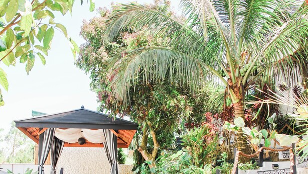 Un jardín con un mirador, una escalera y diversas plantas.