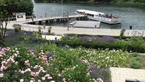 A riverside dock with a boat, surrounded by lush greenery and flowering plants.
