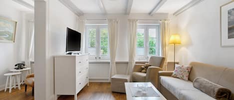 Televisión y chimenea