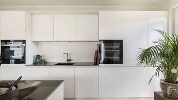 Kühlschrank, Ofen, Herdplatte, Geschirrspüler