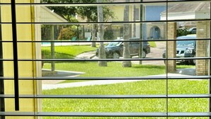 A view through window blinds of a residential area with a lawn, trees, and parked cars.