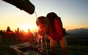 Miscellaneous - Inviting chalet with infrared sauna (Sankt Georgen am Kresichberg)