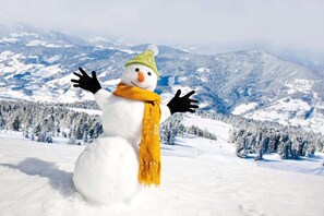 Miscellaneous - Inviting chalet with terrace (Sankt Georgen am Kresichberg)