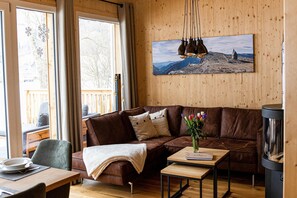 Smart-TV, Kamin