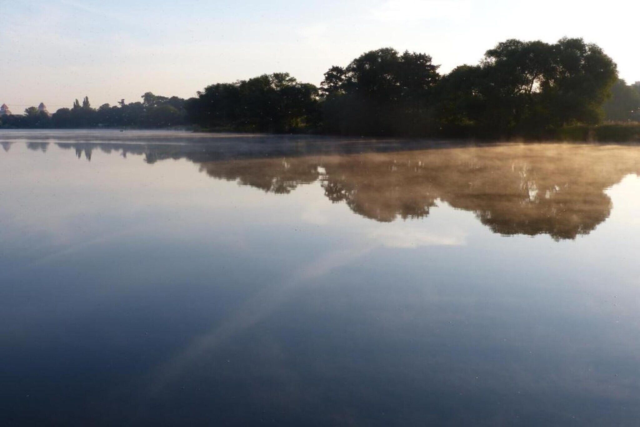 I området (sommer) (> 5 km)
