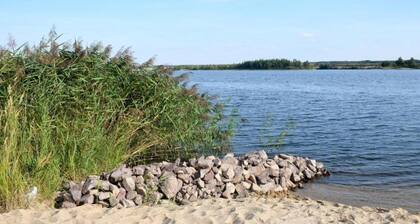 Terrassenwohnung Sachsen
