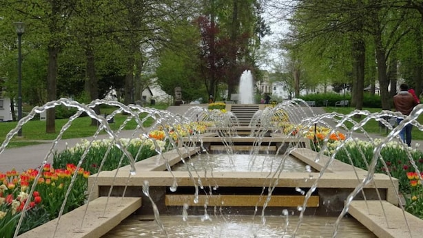 Una fuente con chorros de agua rodeada de macizos de flores y árboles.