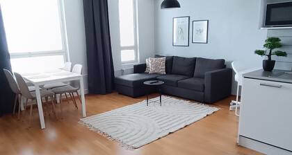 Easy going apartment at city center! Private sauna, Wi-Fi and free parking hall