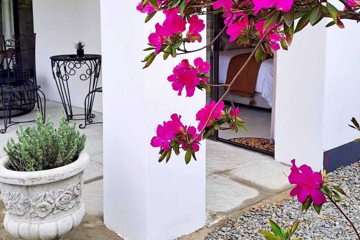 Pátio com coluna branca, planta em vaso e mesa com cadeiras.